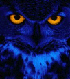 Chuckdom19's Avatar