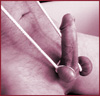 fit_sub_male's Avatar