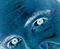 Gravityjunkie (mp)'s Avatar