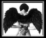 toy_k's Avatar