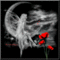 Miss playful's Avatar
